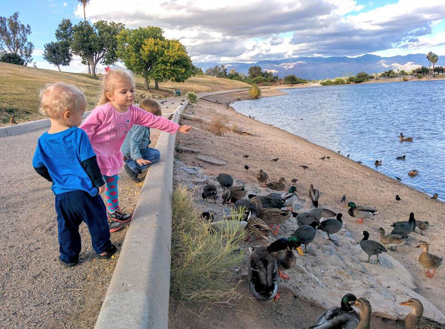 The kids feed the ducks