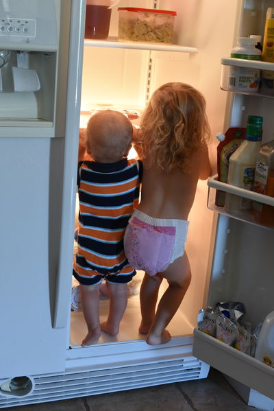 Priya and Remy getting in the fridge again