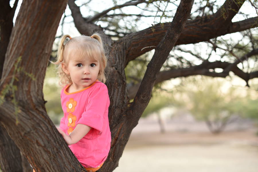 Priya in a tree