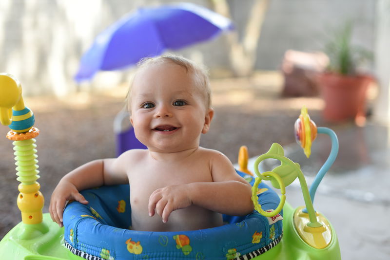 Remy getting wet in the backyard