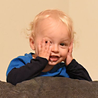 Remy goofing around on the couch