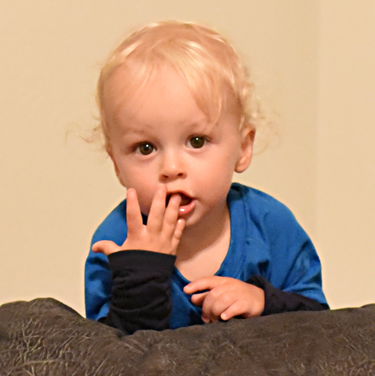 Remy goofing around on the couch