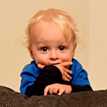 Remy goofing around on the couch