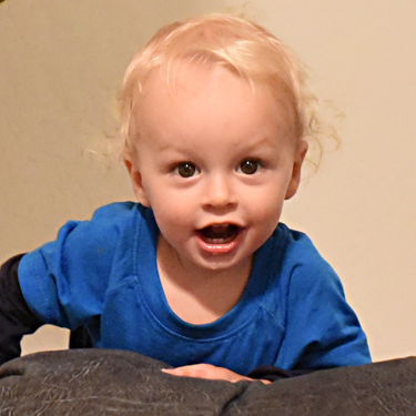Remy goofing around on the couch