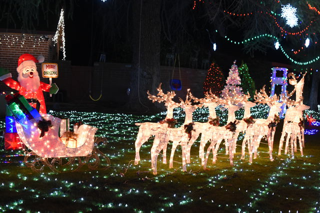 Winterhaven lawn decorations
