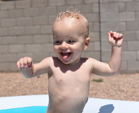 Remy in pool