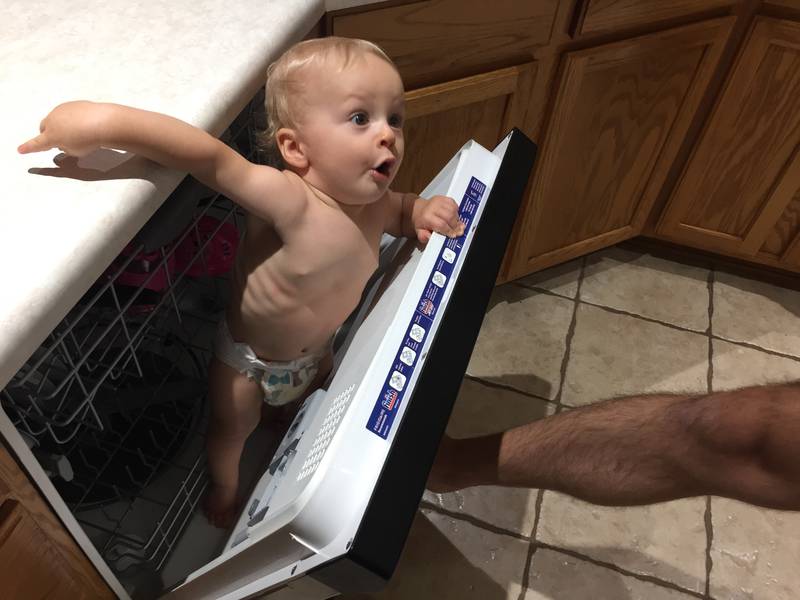 Remy inside the dishwasher after he unloads it