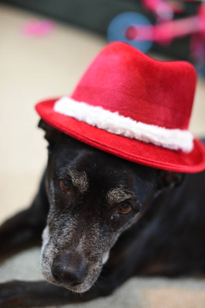 Simone in red fedora