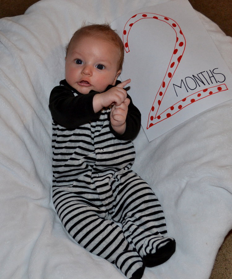 Remy at 2 months