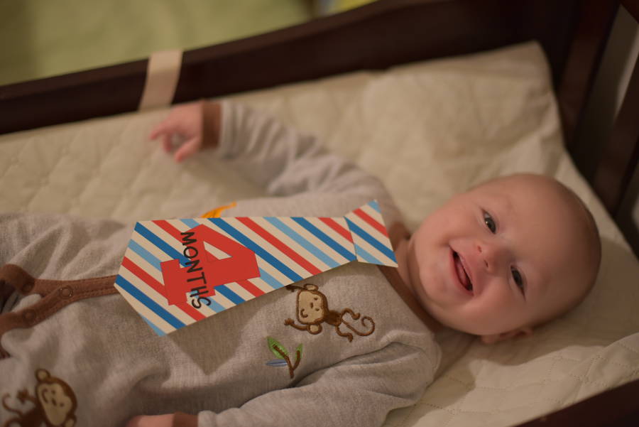 Remy at 4 months